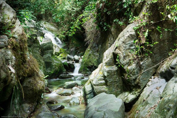 Brook Sanctuary