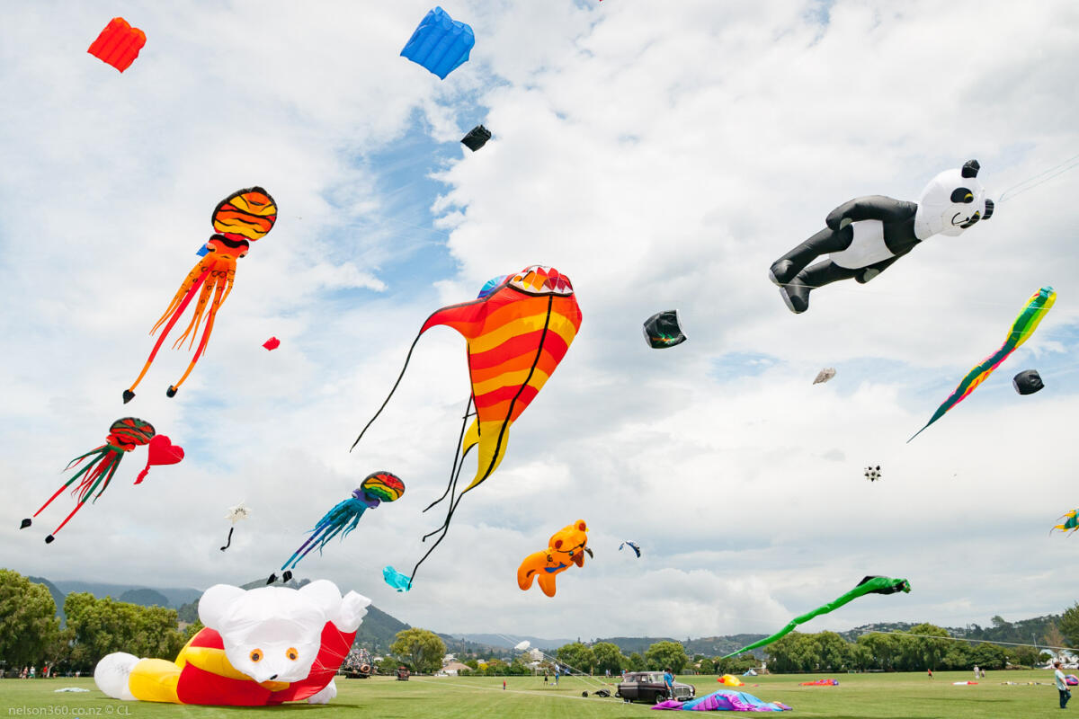 Nelson Kite Festival