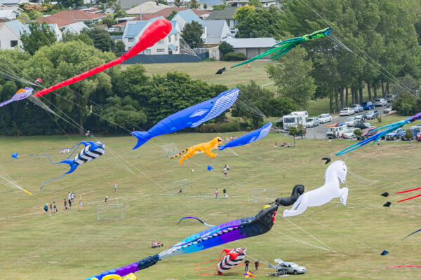 Nelson Kite Festival