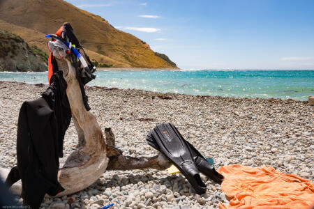 Cable Bay Snorkeling