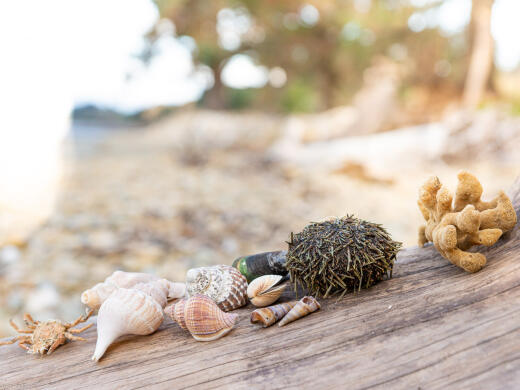 Kina Beach Findings