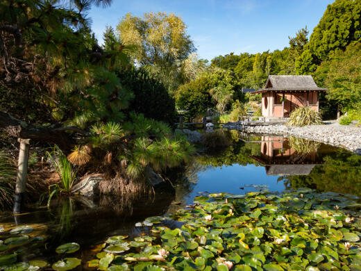 Miyazu Garden Nelson Tea House Pond