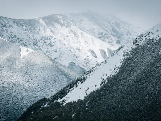 Nelson Lakes National Park Alpine Snow