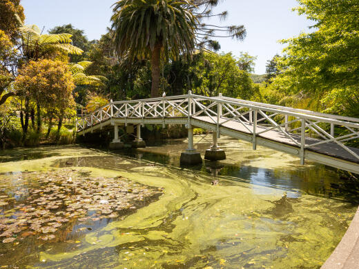 Nelson Queens Gardens Bridge