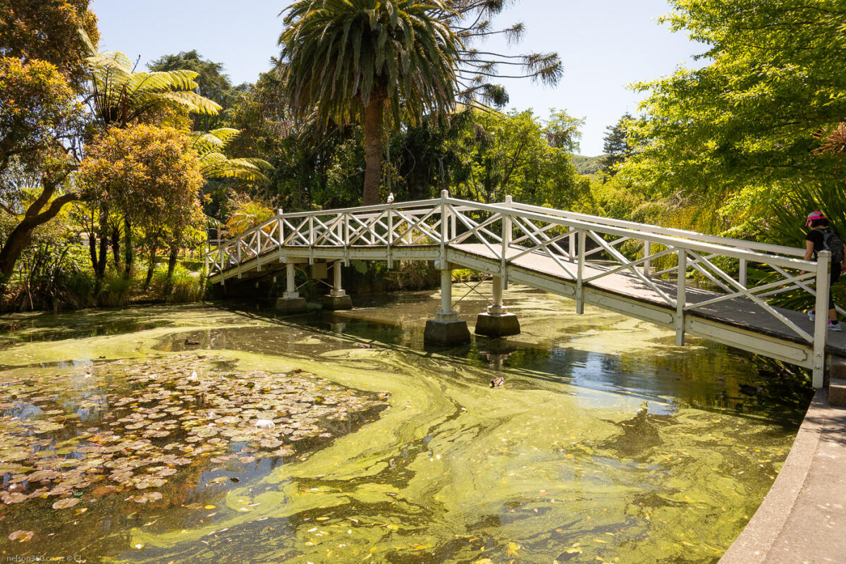 Nelson Queens Gardens Bridge