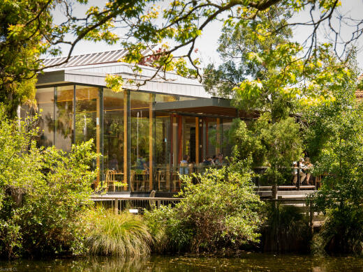 Nelson Queens Gardens Suter Cafe