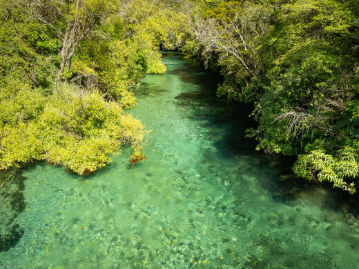 Pupu Springs River