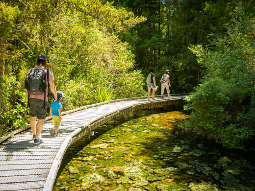 Pupu Springs Walkway