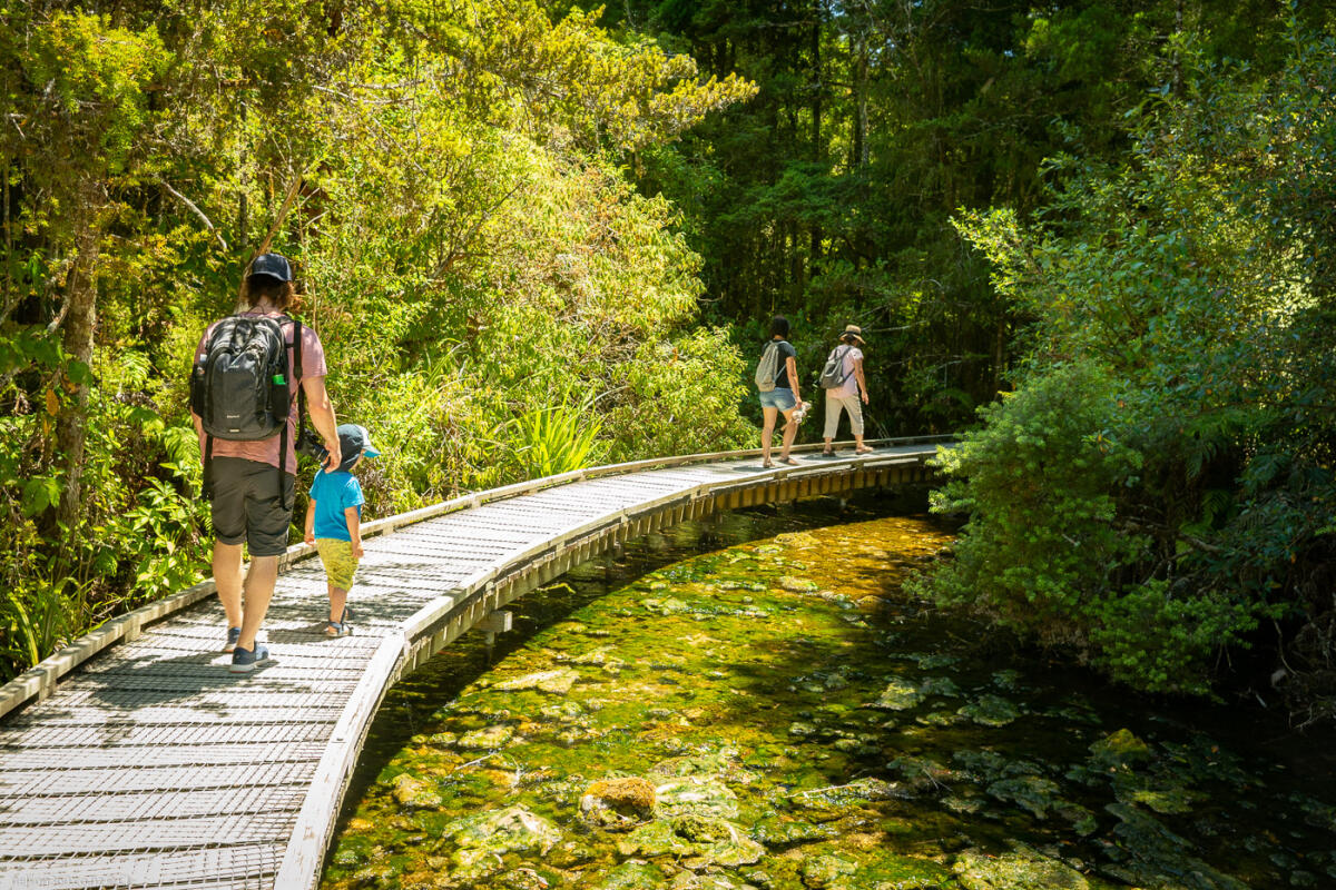 Pupu Springs Walkway