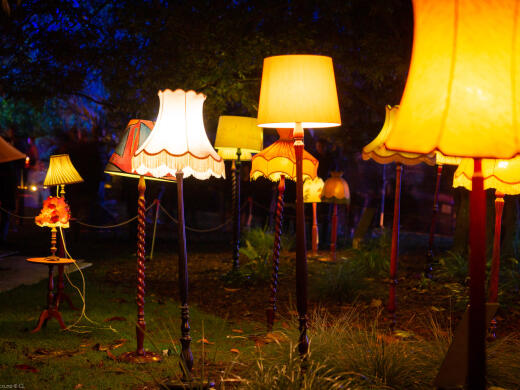Queens Gardens Light Nelson Event