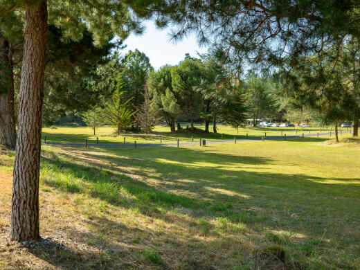 Rabbit Island Recreational Area