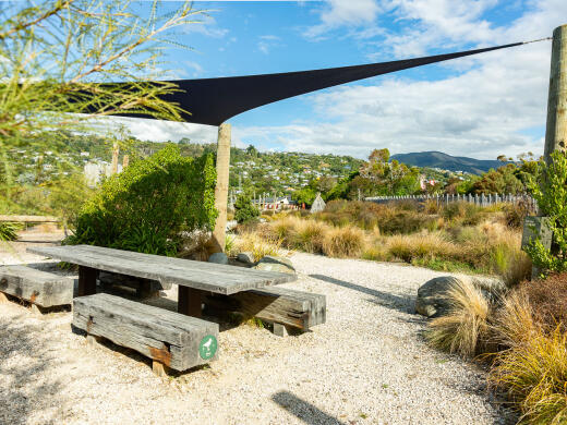 Te Pa Harakeke Park Picnic Area