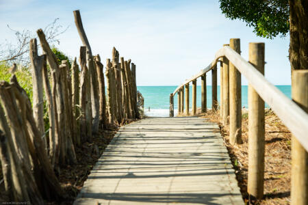 Tahunanui Beach Access