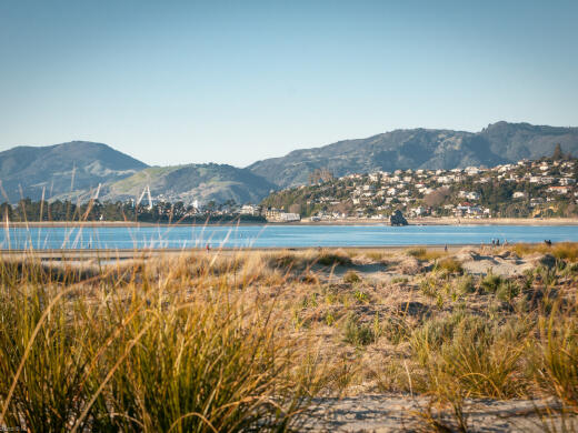 Tahunanui Dunes