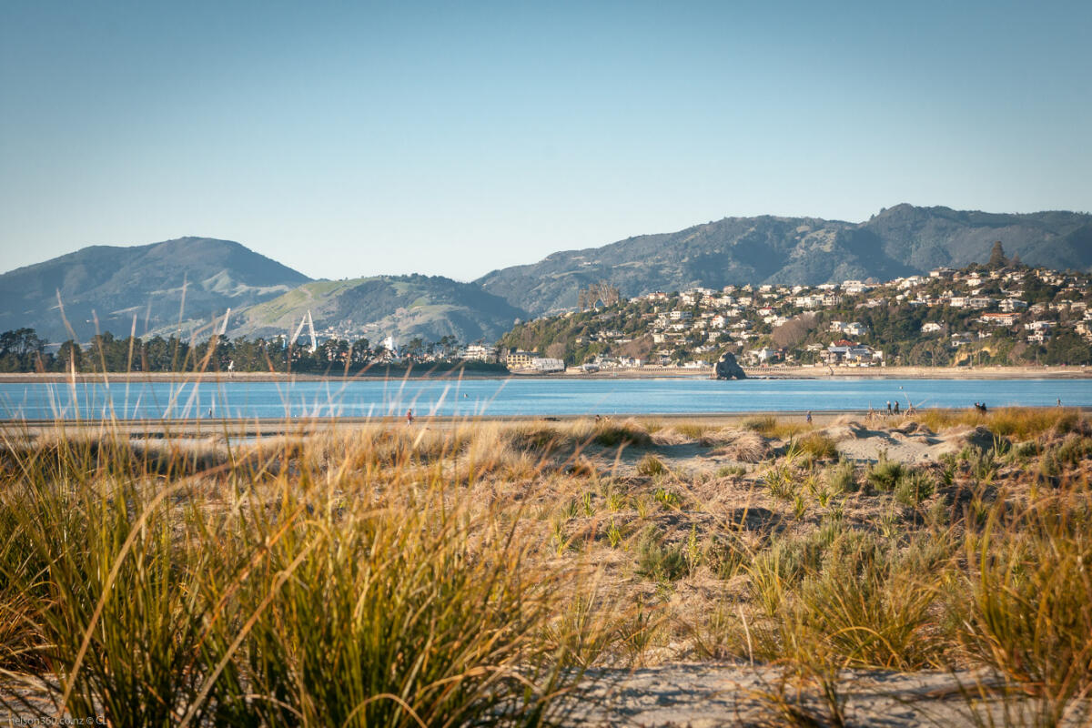 Tahunanui Dunes