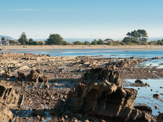Tahunanui Rocks Low Tide