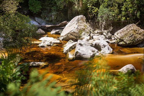 The Oparara Basin