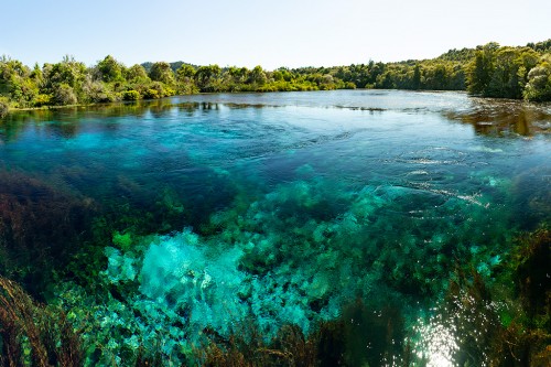 Te Waikoropup? Springs