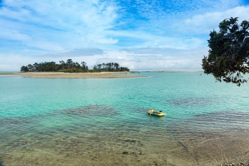 Haulashore Island Nelson, web_DSC1898.jpg