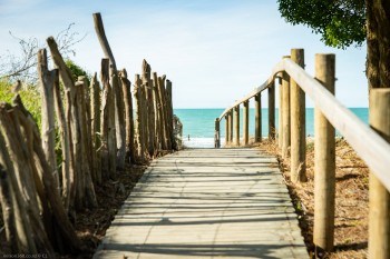 Tahunanui Beach Access, web_DSC2791.jpg