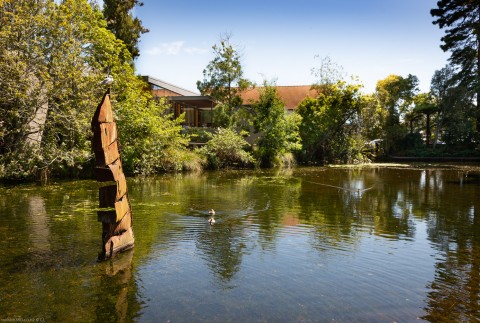 Nelson Queens Gardens Pond, Sentinel Artwork , 