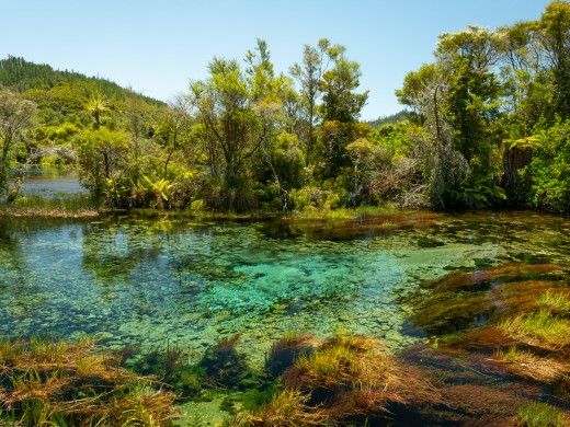 Pupu Springs Dancing Sands, 