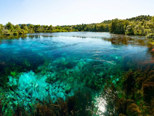 Te Waikoropupu Springs (Pupu Springs), 