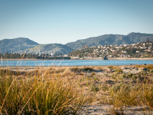 Tahunanui Dunes , 