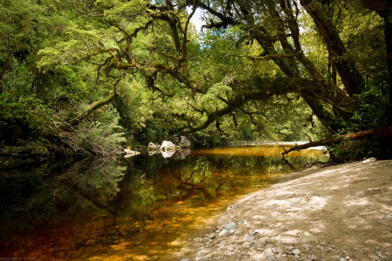 Oparara Basin, West Coast , 