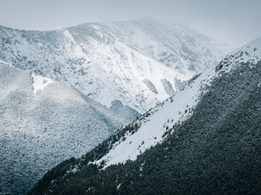 Nelson Lakes National Park Alpine Snow , 